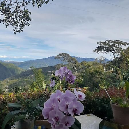 Вилла Casa Finca El Girasol Гуайябаль-де-Сикима Экстерьер фото